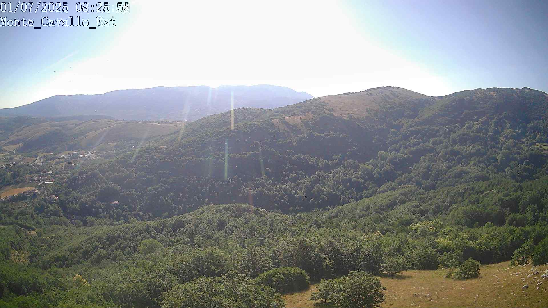 Immagine scattata il 01/07/2025 am31 08:25