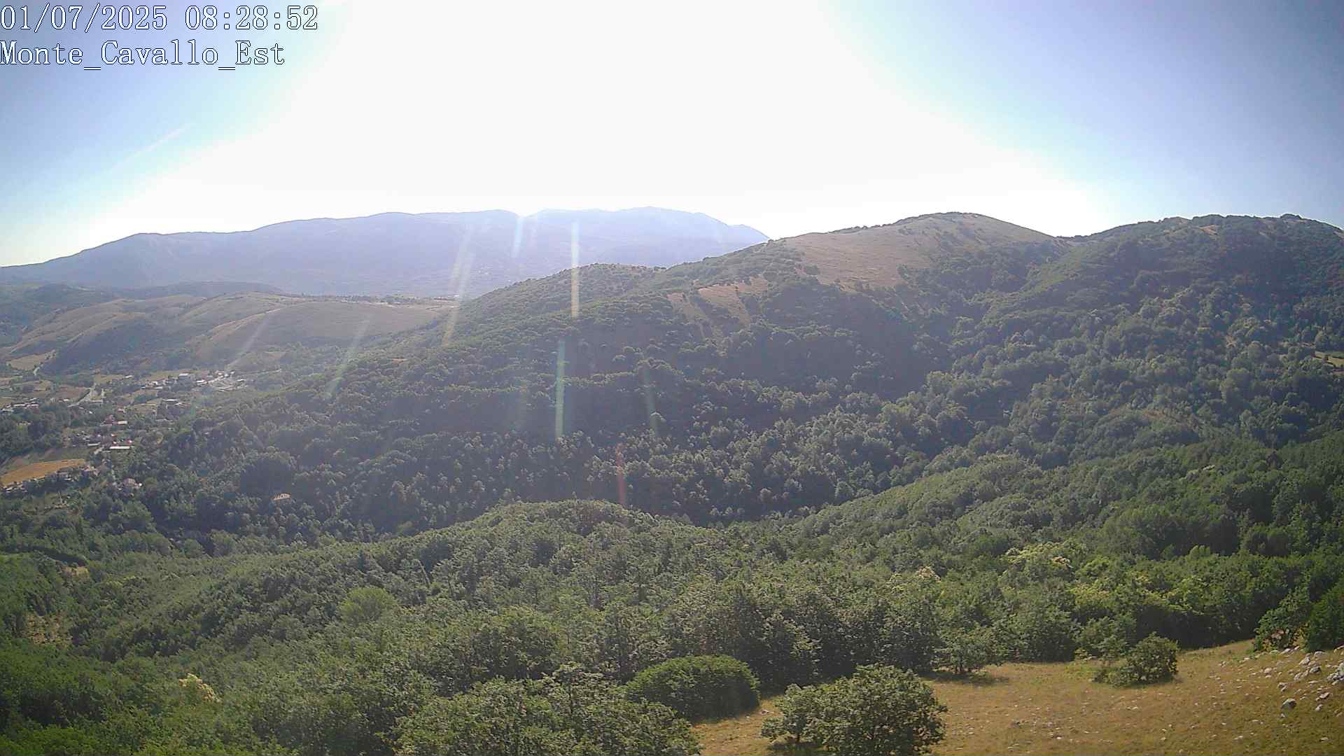 Immagine scattata il 01/07/2025 am31 08:28