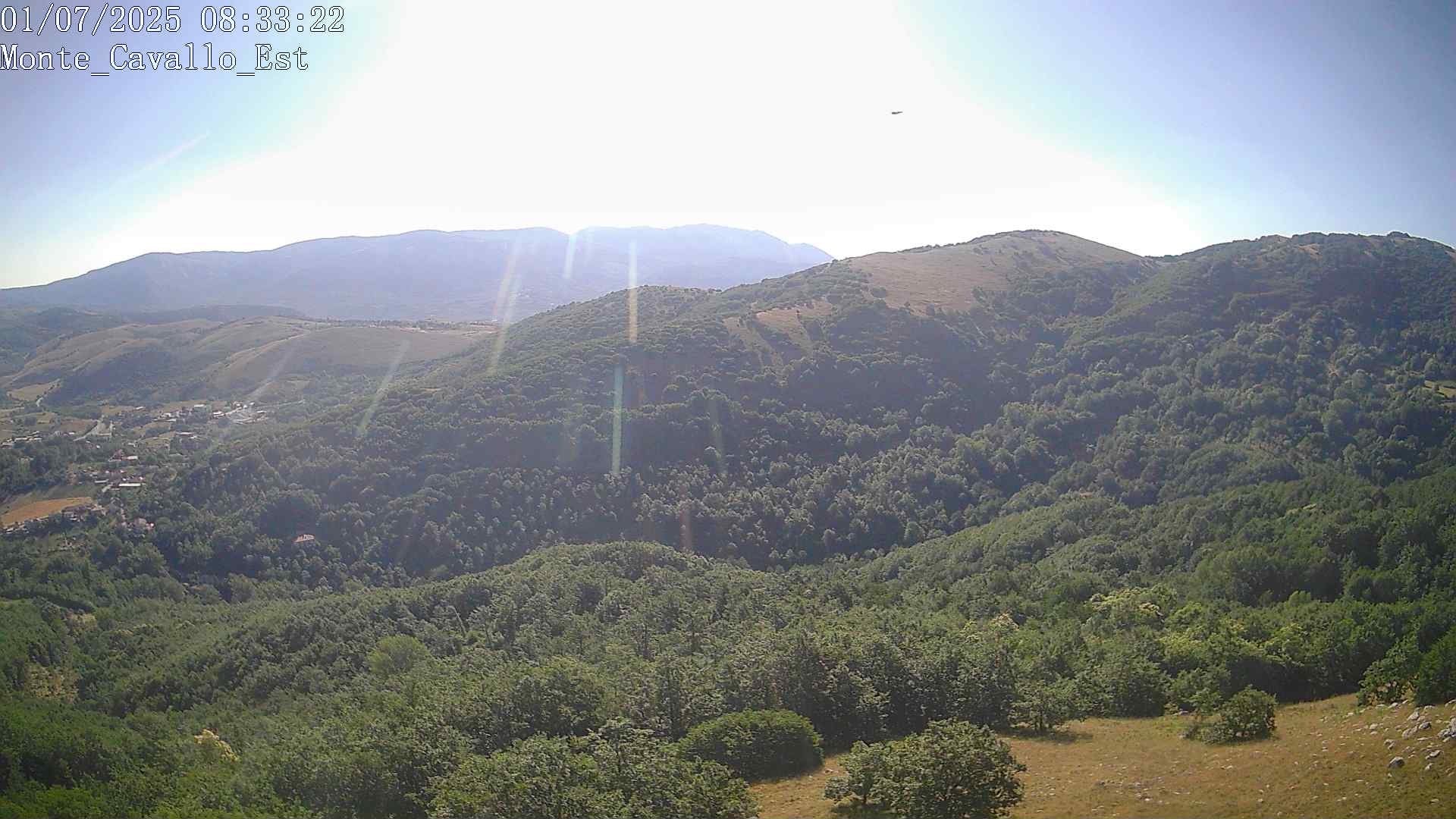 Immagine scattata il 01/07/2025 am31 08:33