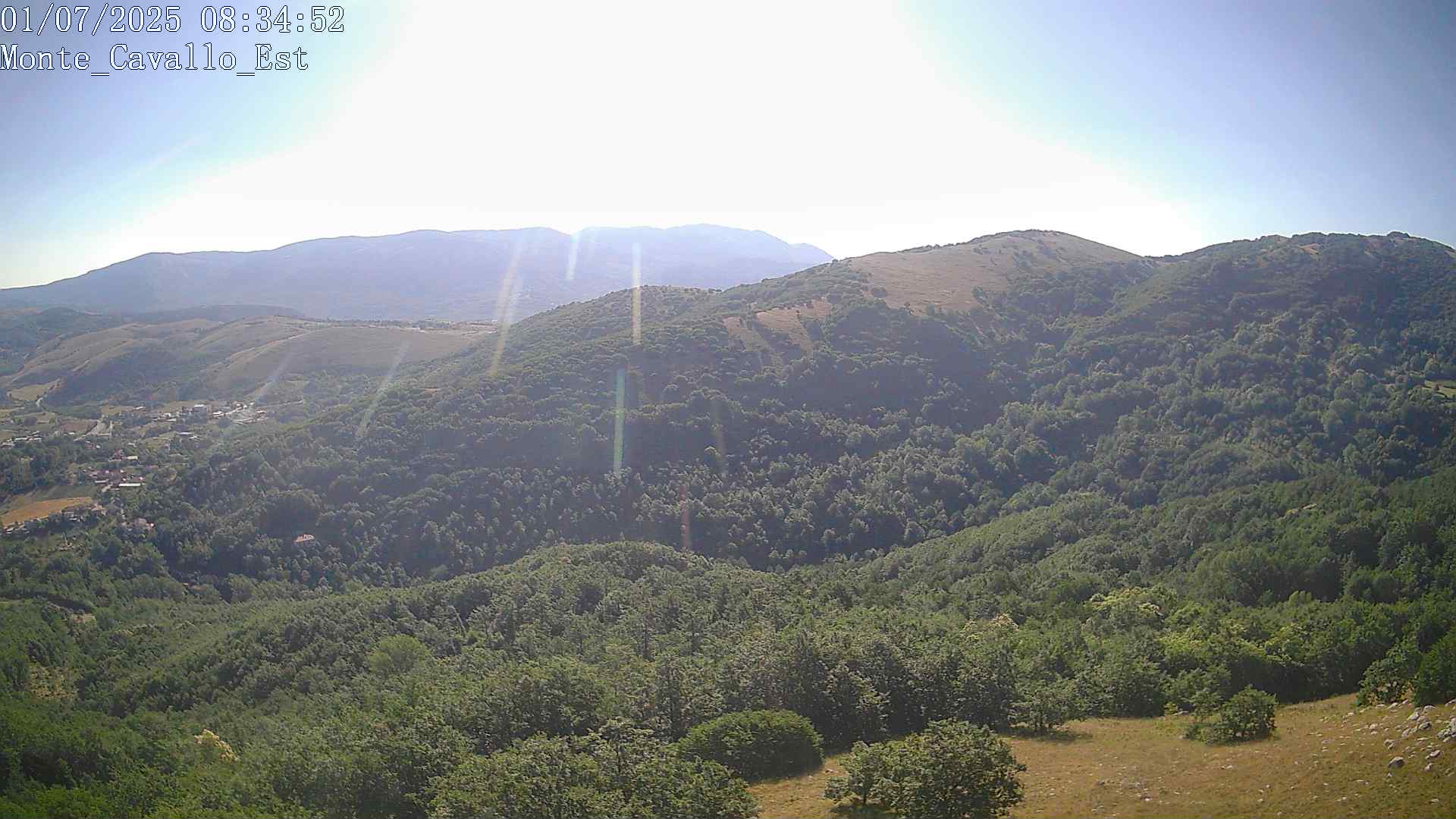 Immagine scattata il 01/07/2025 am31 08:34