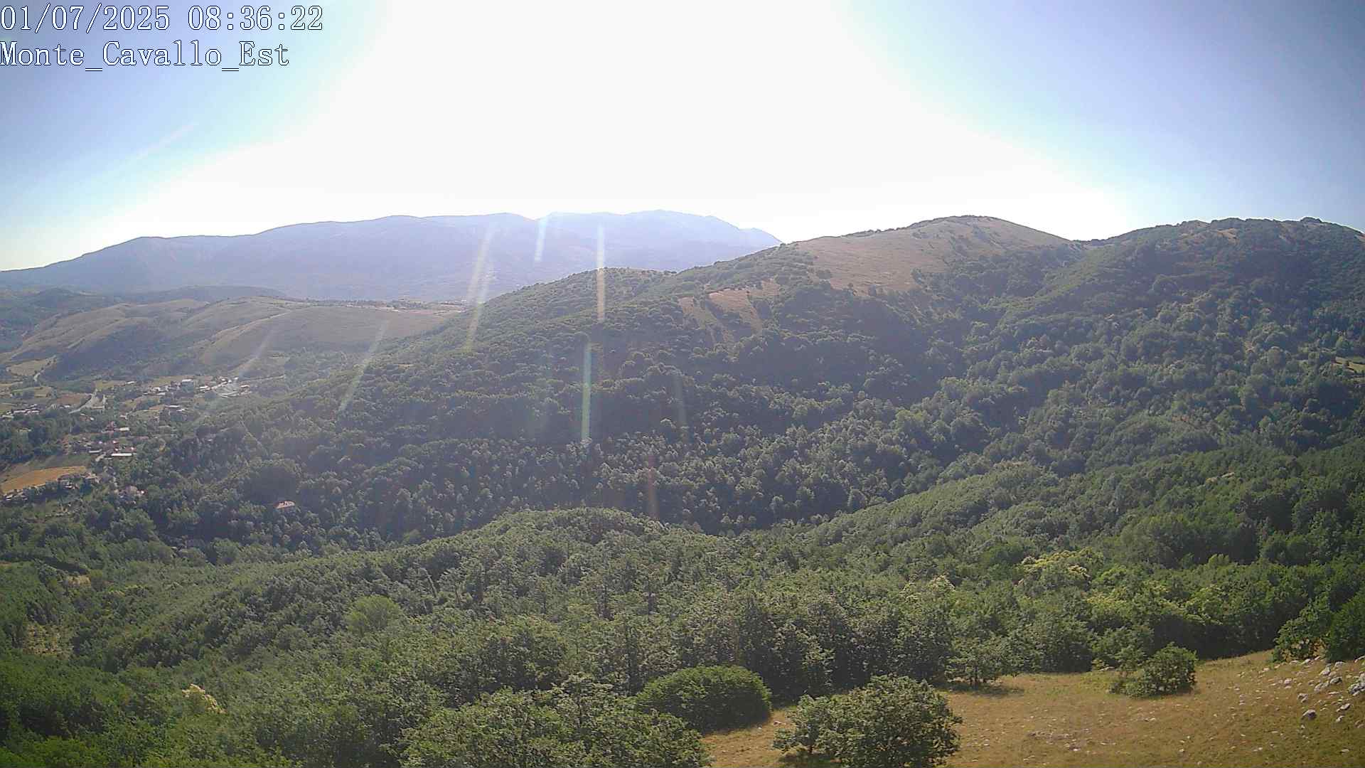 Immagine scattata il 01/07/2025 am31 08:36