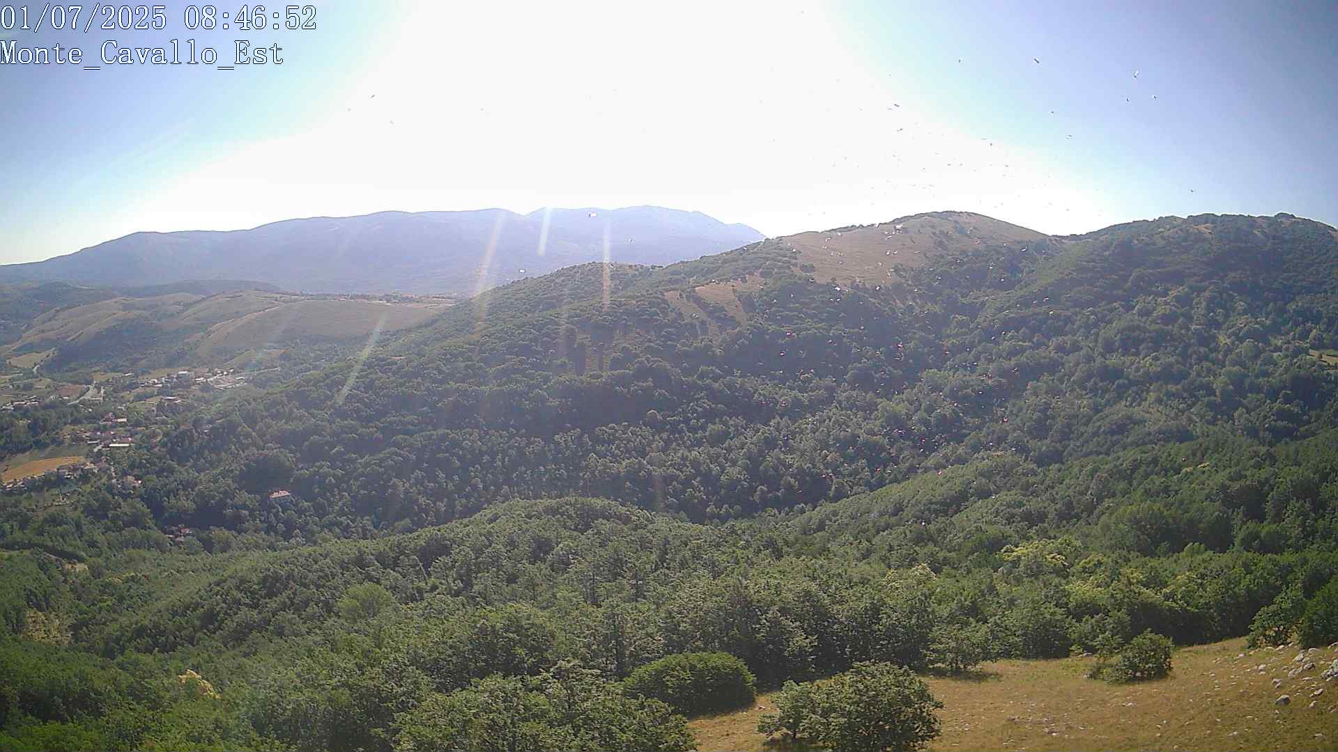 Immagine scattata il 01/07/2025 am31 08:46