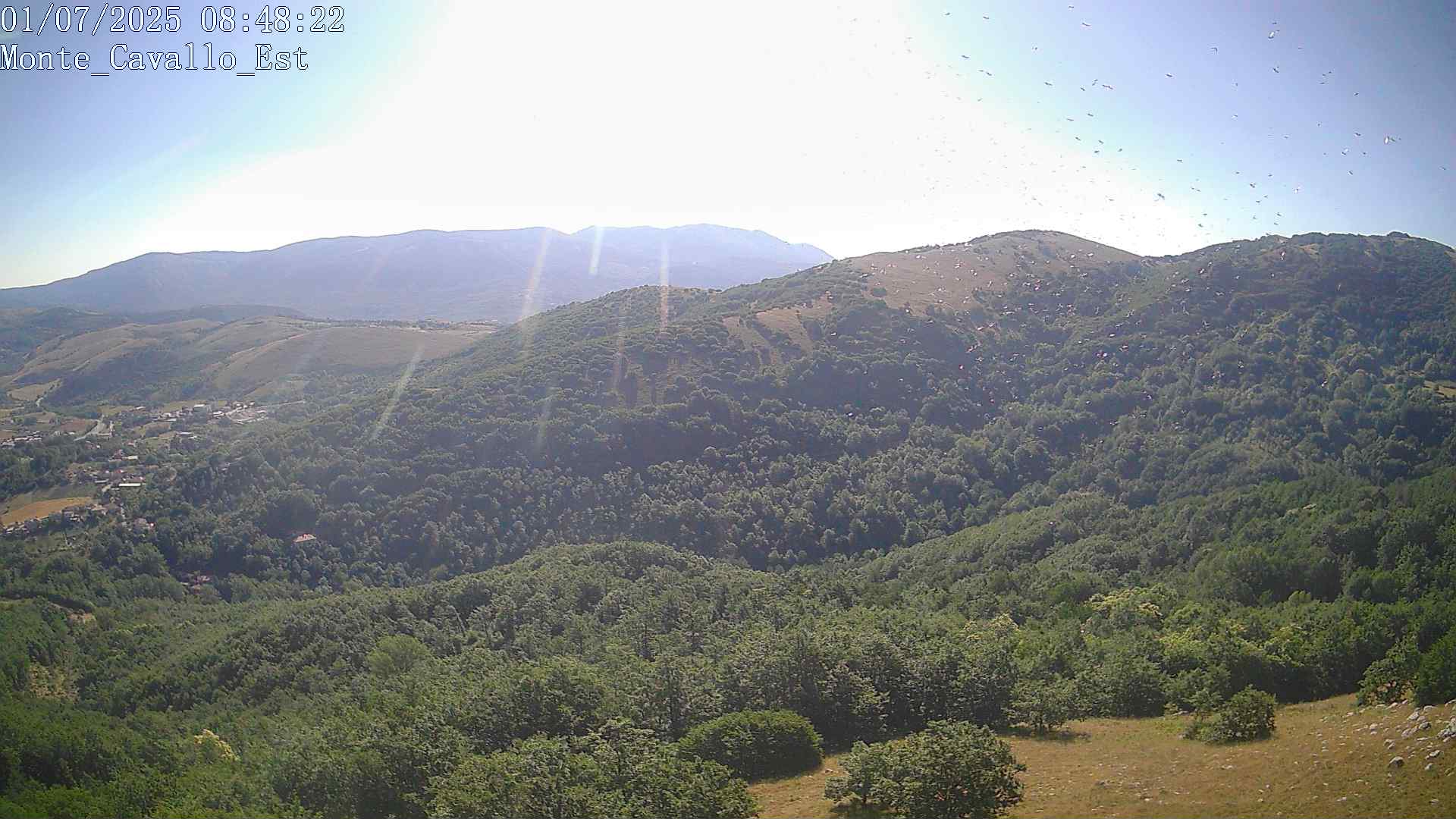 Immagine scattata il 01/07/2025 am31 08:48