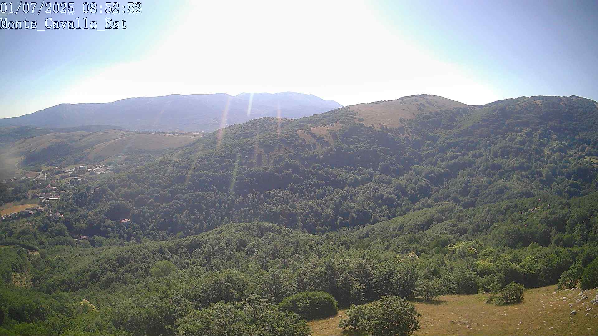 Immagine scattata il 01/07/2025 am31 08:52