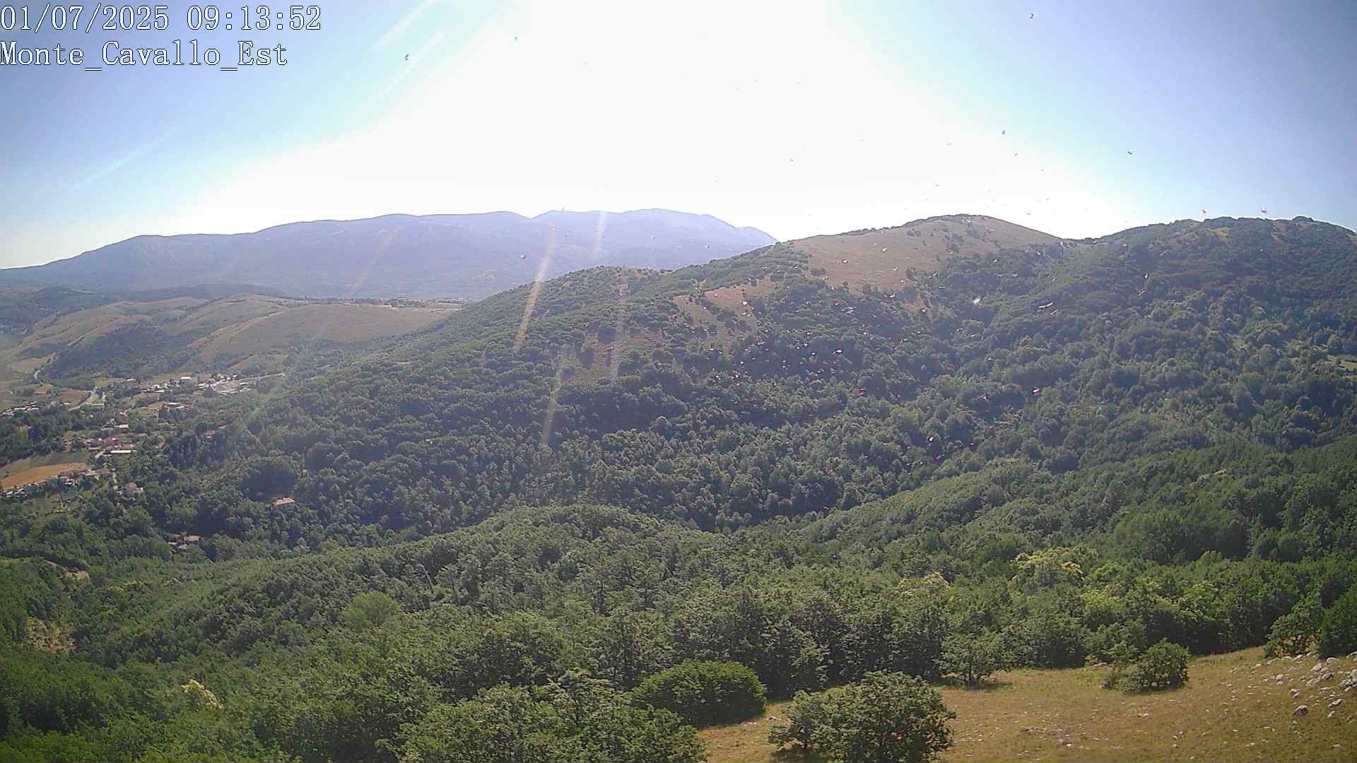 Immagine scattata il 01/07/2025 am31 09:13